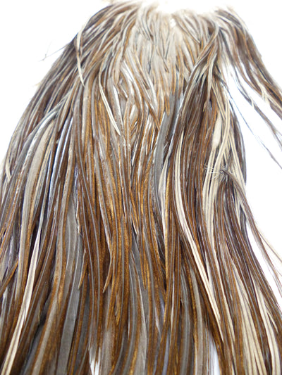 COU DE COQ HEBERT PRO WHITING