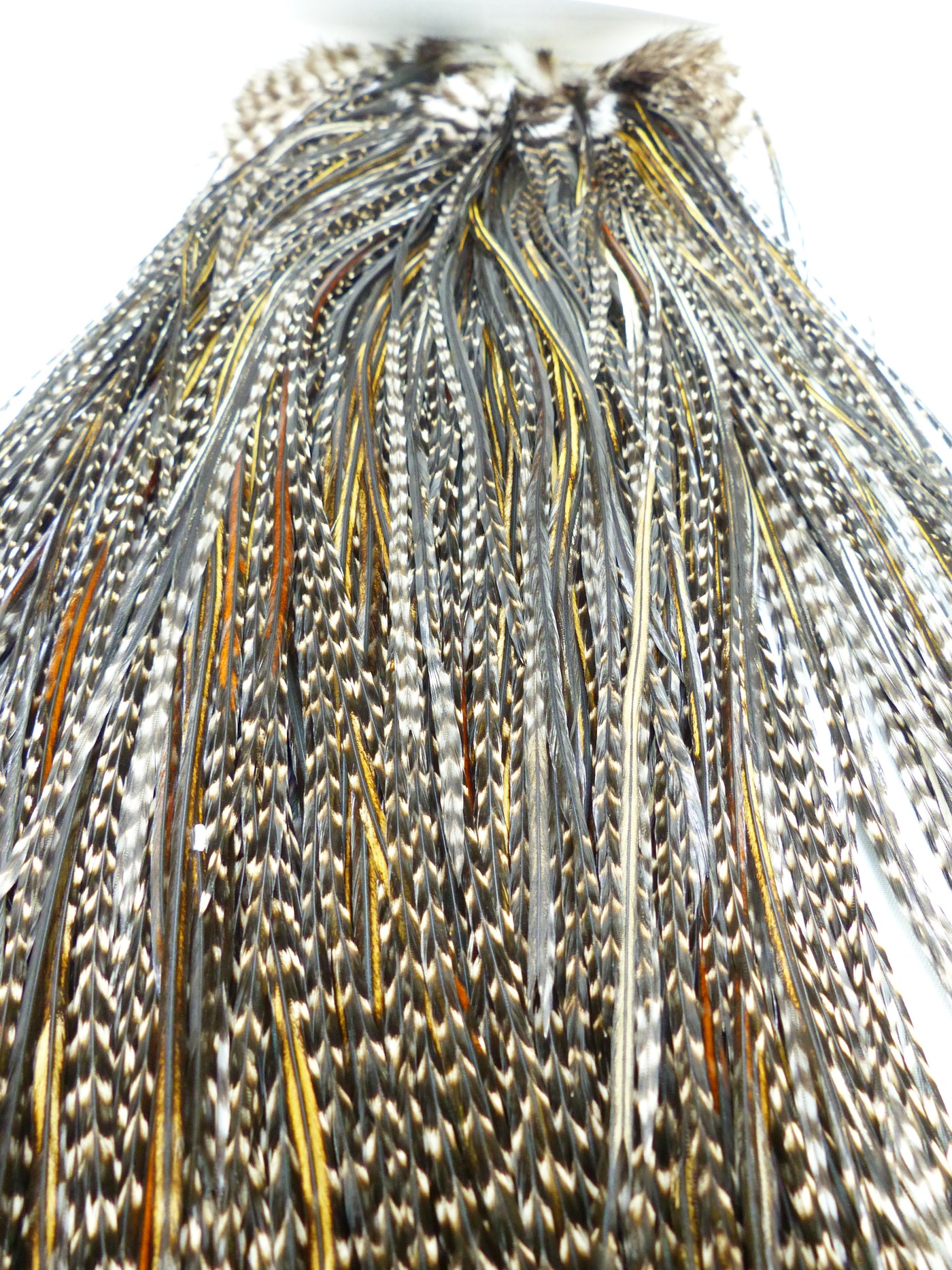 COU DE COQ HEBERT PRO WHITING