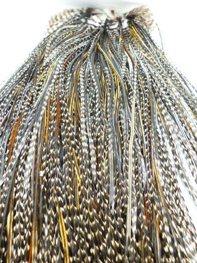 COU DE COQ HEBERT PRO WHITING