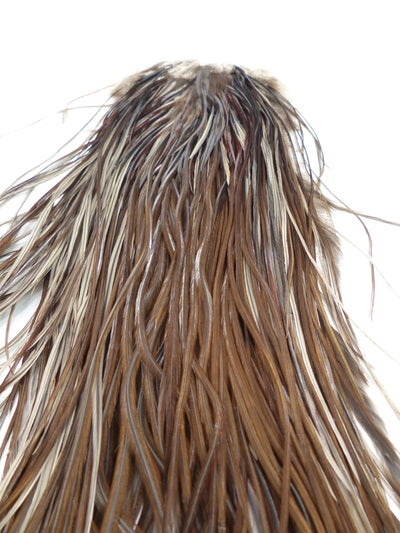 COU DE COQ HEBERT PRO WHITING