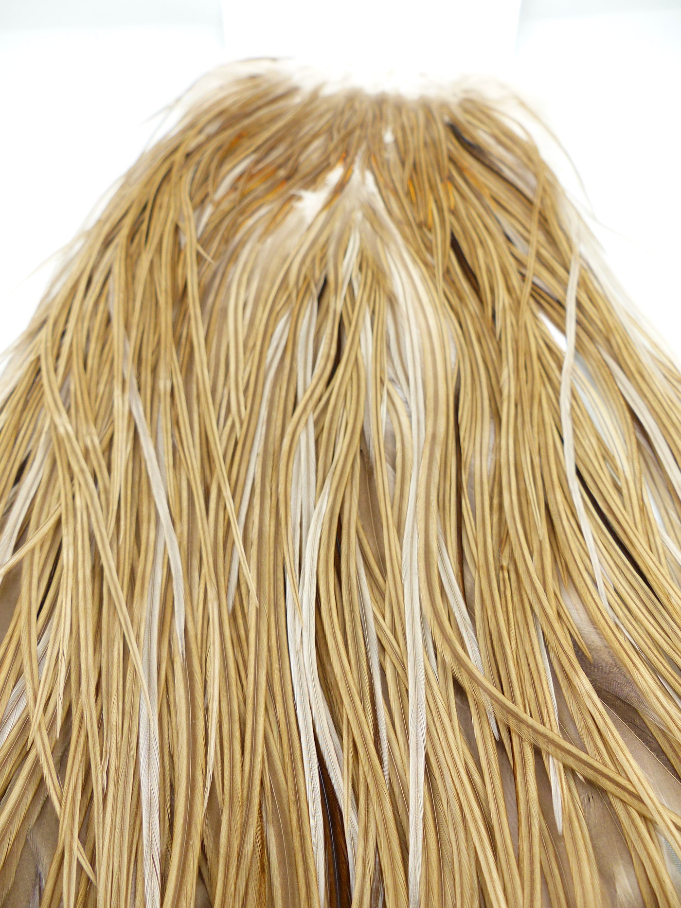 COU DE COQ HEBERT PRO WHITING