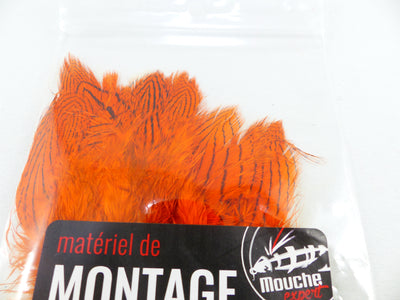 Faisant argenté pqt 30