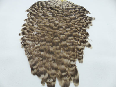 Cape de selle de poule