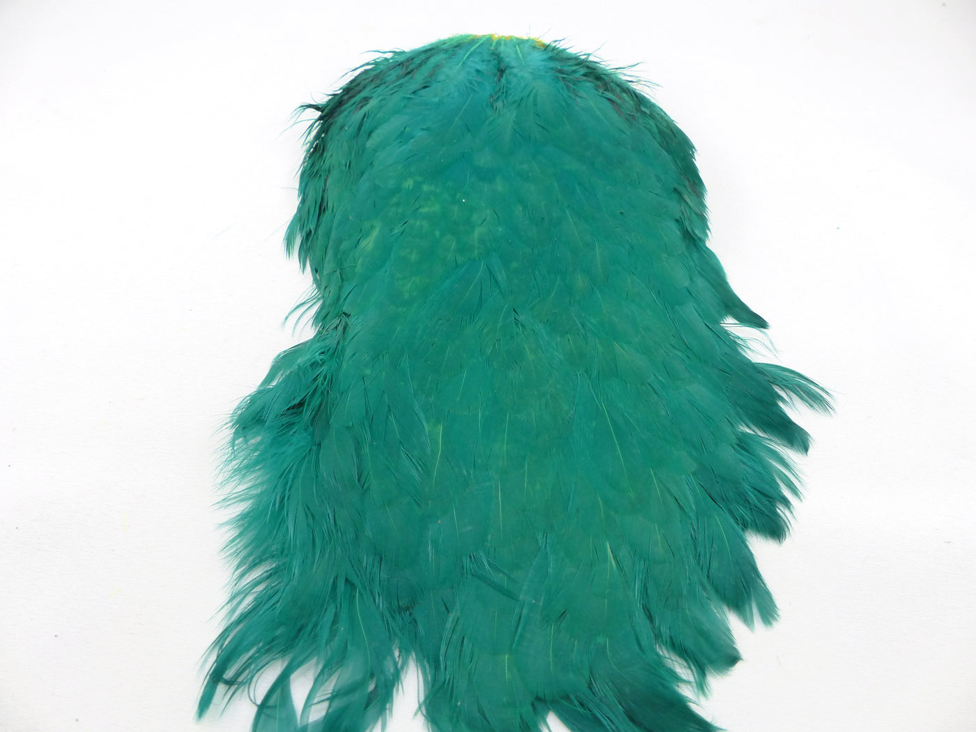 Cape de selle de poule