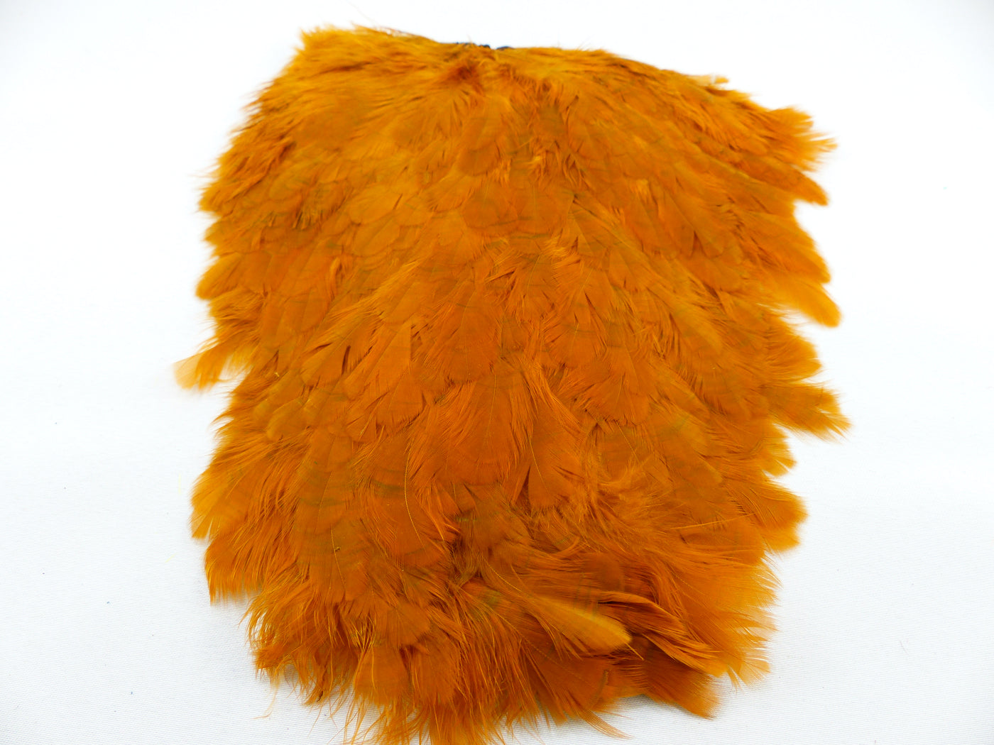 Cape de selle de poule