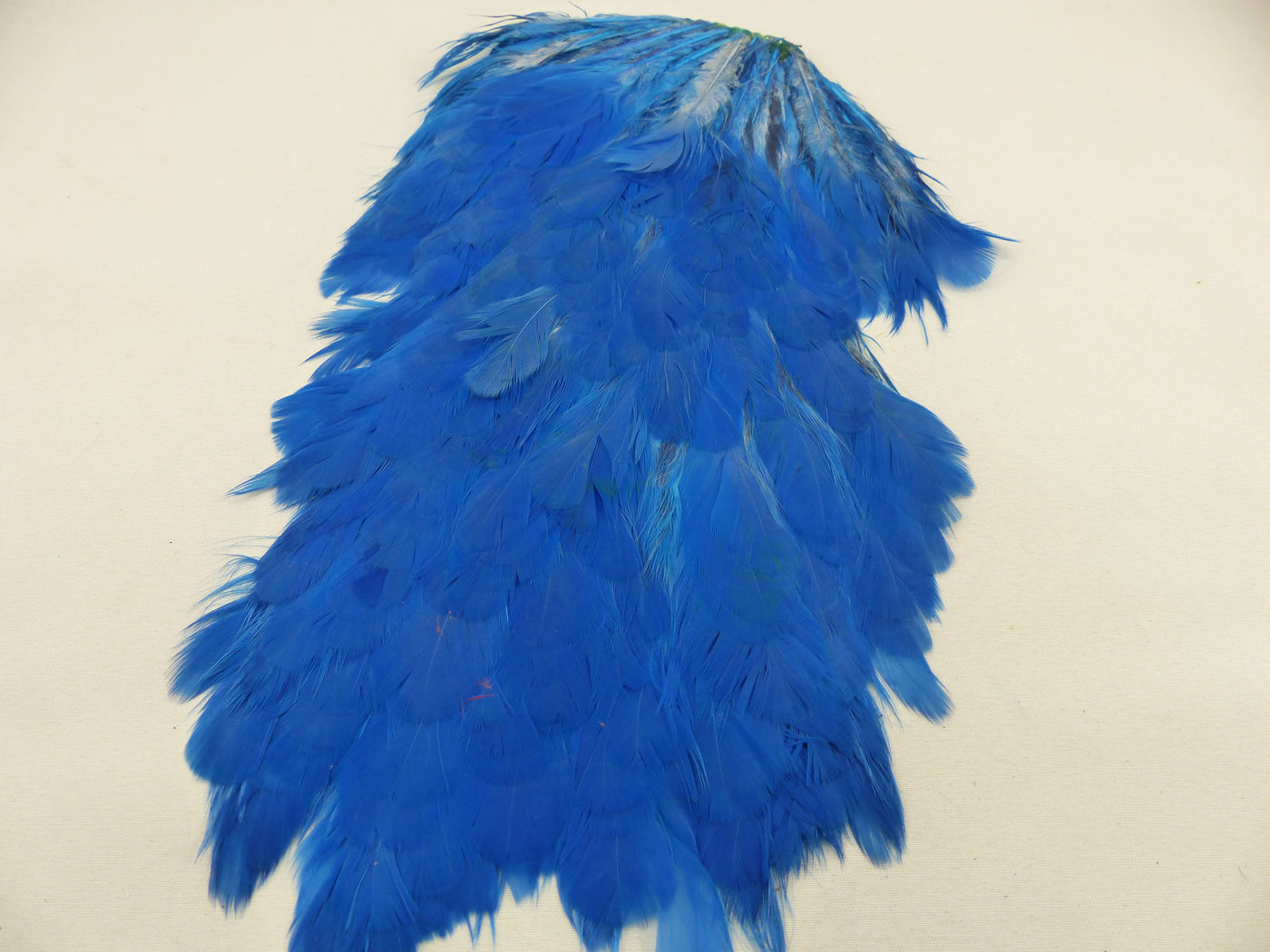 Cape de selle de poule