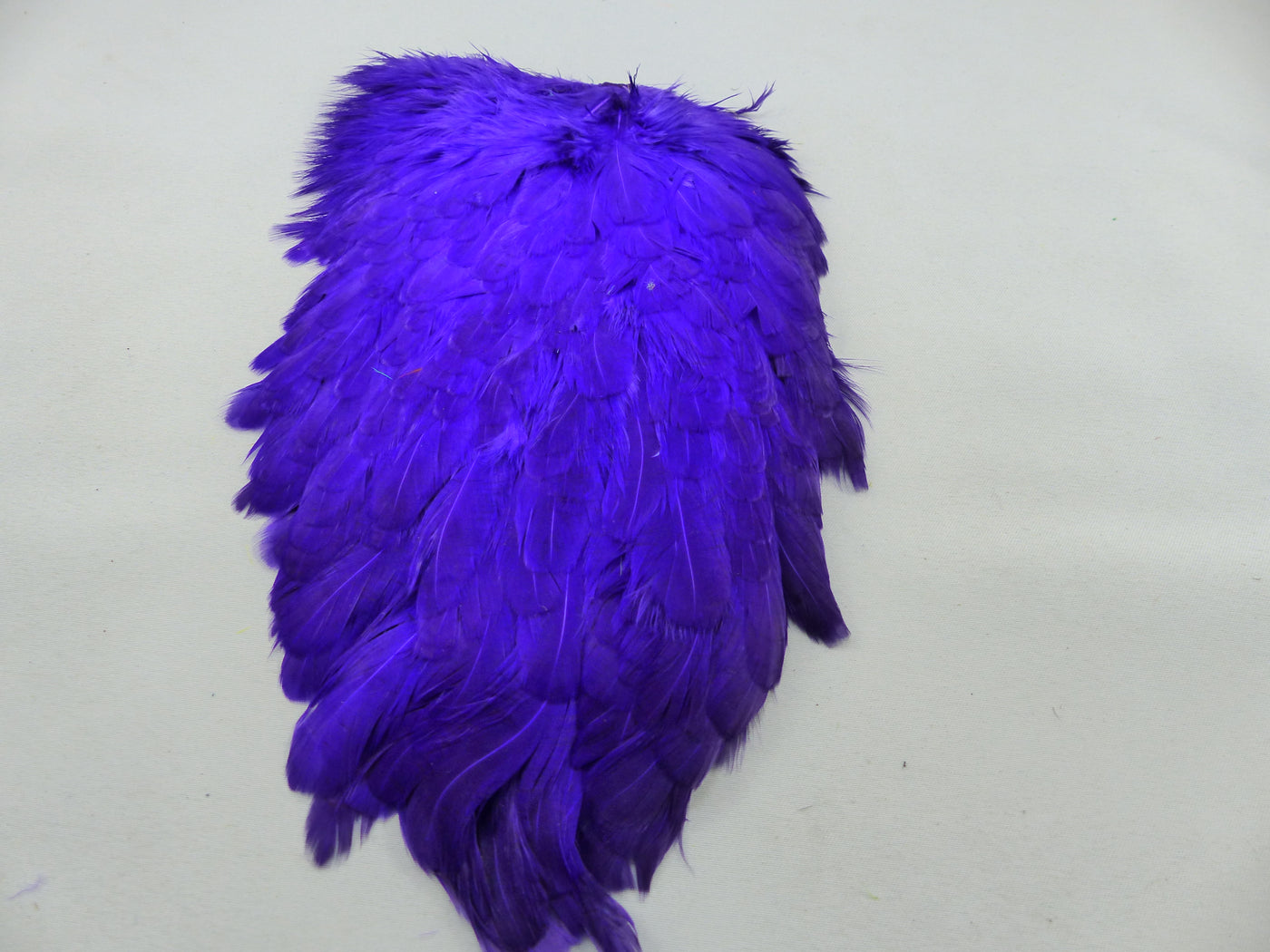 Cape de selle de poule