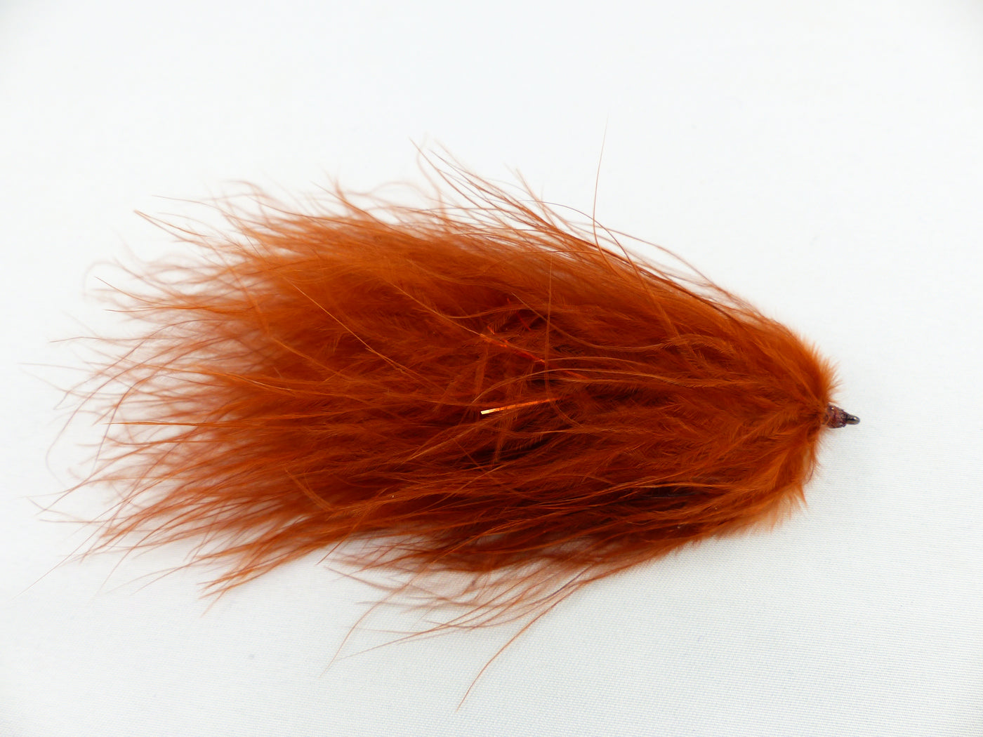 Galloup's TA Leech Brown