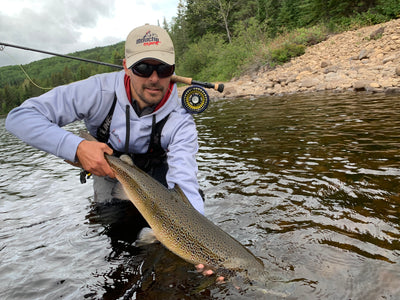 Chandail capuchon Crystalwinds